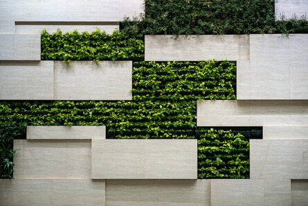 Mur Dans Un Intérieur Moderne Avec Blocs Et Jardin Vertical